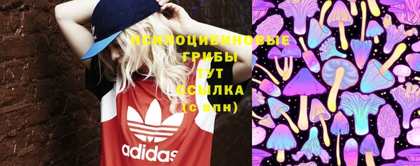 эйфоретик Вязники