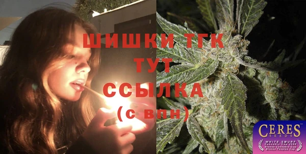 СК Вяземский