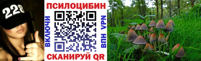 Псилоцибиновые грибы GOLDEN TEACHER Демидов